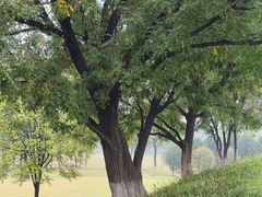 -汉长安城未央宫国家考古遗址公园