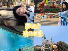 -福州罗源湾海洋世界旅游区