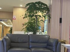 -合肥美奥口腔·种植矫正中心(政务院)