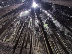 -钟鼎寺
