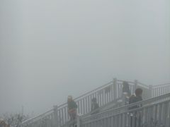 -东白山