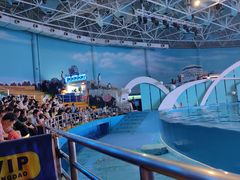 -海合安青岛极地海洋公园