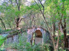 -青龙山国家森林公园