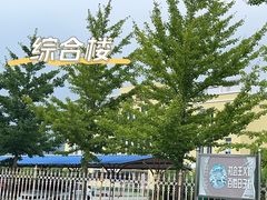 -毛岸英学校