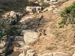 -大连森林动物园