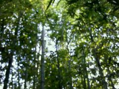 -大地影院(上海南汇店)