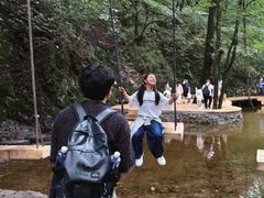 -牛背梁国家森林公园