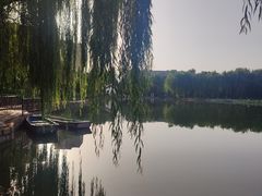 -团结湖公园