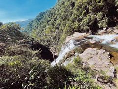 -海南热带雨林国家公园吊罗山景区