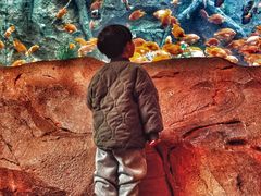 -杭州开元森泊度假乐园