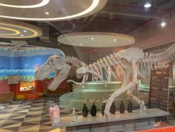 -宝燕水乐园(相城店)