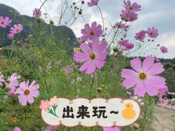 -密云玫瑰情园