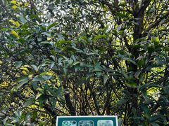 -福道
