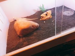 -椿树下·Tattoo纹身工作室