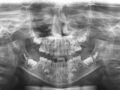 -岳辰齿科(浦东长泰店)