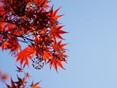 -大宁公园