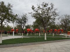 -天津东丽湖风景区