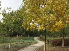 -永定河休闲森林公园