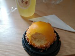 -Husky Go! 哈士奇体验馆·宠物咖啡厅狗咖