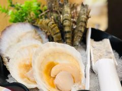夏威夷大号元贝-贝鲜生卜卜贝海鲜火锅