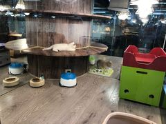 -宠物世家(仲盛世界商城店)