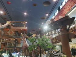 -卡通尼·Safari非洲探索乐园·生日会(金桥国际商业广场店)