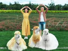 -爱我旅拍婚纱摄影(大理店)