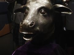 -广西壮族自治区博物馆