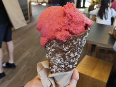 -Patagonia Chocolates(皇后镇店)