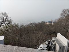 -紫金山天文台