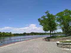 -东郊湿地公园