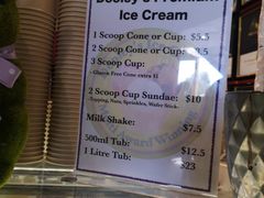 -Dooley's Premium Ice Cream