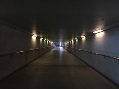 -上海南站