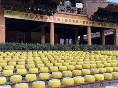 -禅宗少林·音乐大典