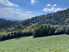 -敬亭山风景名胜区