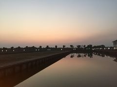 -明珠湖天鹅苑·农家菜馆