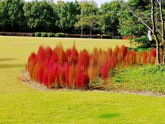 -AdD全日制餐厅(中谷花园酒店)