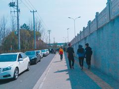 -上海浦江郊野公园-4号停车场