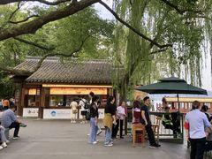 -西湖游船