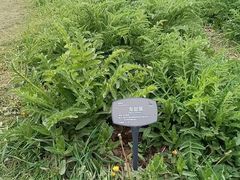 -国家植物园南园