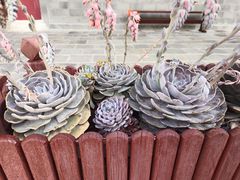 -崇圣寺三塔文化旅游区