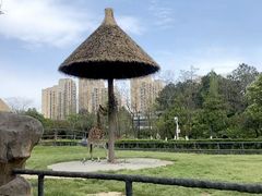 -南昌动物园