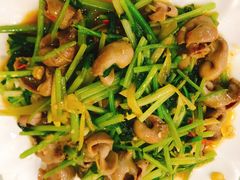 招牌炒鱼肚-潮汕铺老店(甜水井店)