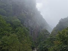 -青峰峡国家森林公园