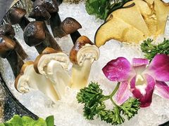 -喜聚薈·花膠雞海鮮火鍋(越秀店)