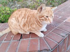 -上海交通大学闵行校区-包玉刚图书馆