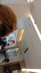 点击看大图 -锦尚名仕Hair Salon