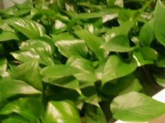 -新辣道鱼火锅(领展购物广场·中关村店)