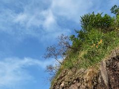 -江西龙虎山景区