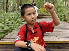 -五营红松林海景区